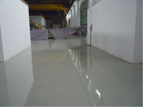 哈爾濱食品廠潔凈車間 環(huán)氧地坪漆的選擇與應(yīng)用指南